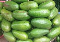 Kinh Nghiệm Chọn Mua Bơ Sáp Đà Lạt Ngon Kinh Nghiệm Chọn Mua Bơ Sáp Đà Lạt Ngon