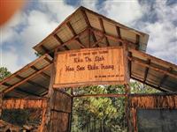 Review hoa sơn điền trang- Điểm check in mới cực hot Review hoa sơn điền trang- Điểm check in mới cực hot